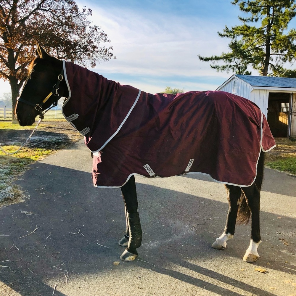 Horseware Amigo Ripstop Winter Blanket